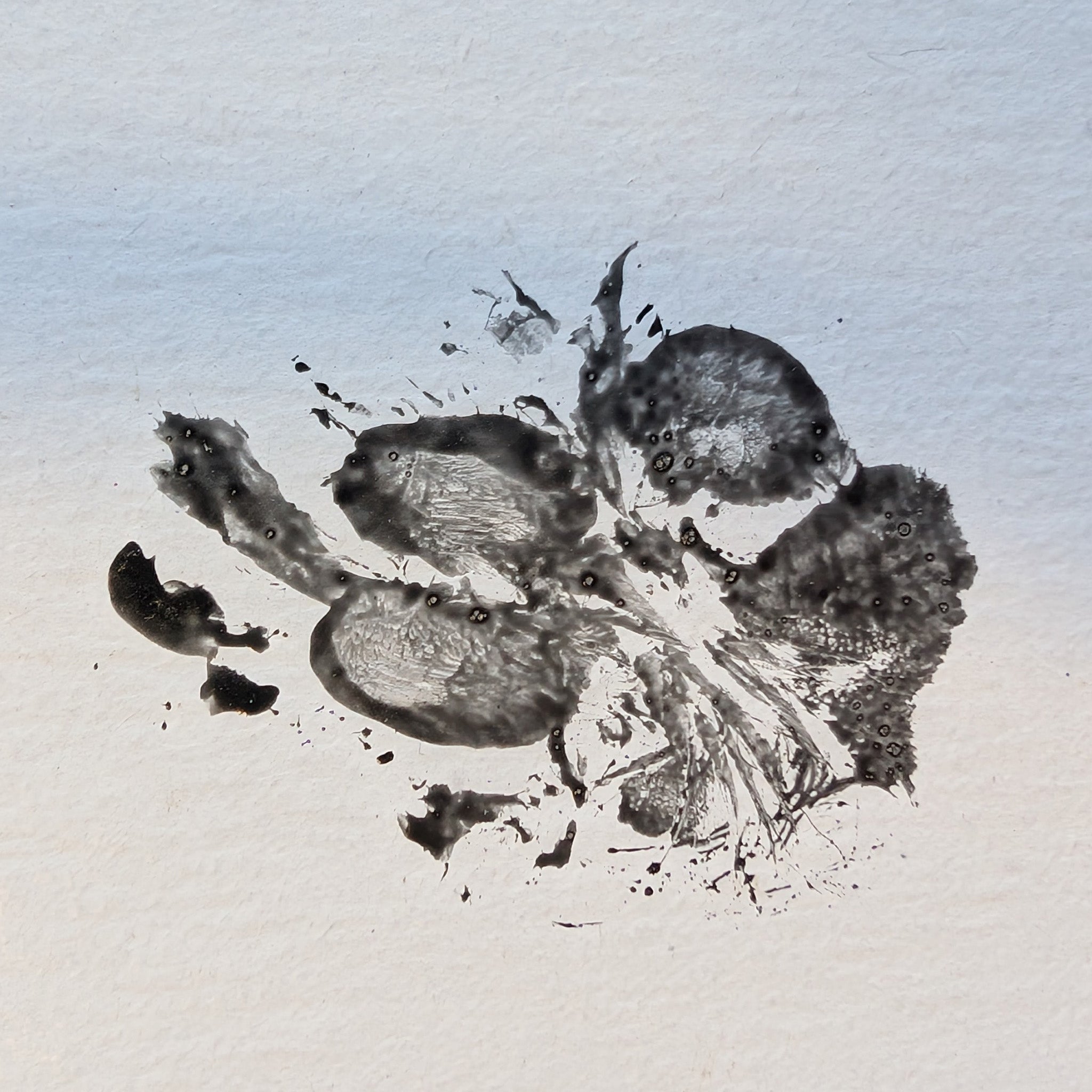 Custom Engraved Pet Memorial Plaques