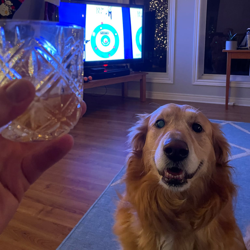 Custom Engraved Pet Memorial Plaques